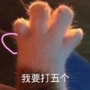 purer的个人资料头像