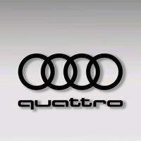 梦想Audi的雅迪车主头像