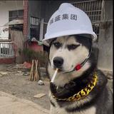 用户530280677842头像