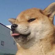 程序员华工的个人资料头像