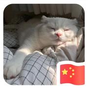 小鱼儿340的个人资料头像