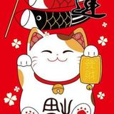壳壳哥Amazing头像