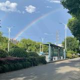 其实我不猛头像