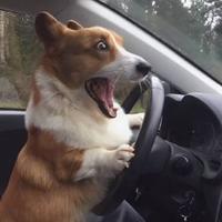 aa这不对吧头像