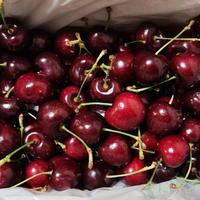 爱吃爱玩的老韩泛泛头像