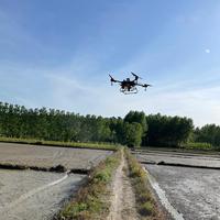 谁不忆江南头像