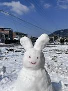 南橘北枳的个人资料头像