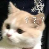 用户7445981062614头像