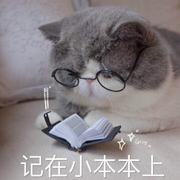 策码一生的个人资料头像