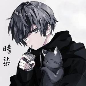 暗柒不懂车头像