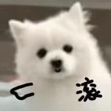 氪里氪气头像