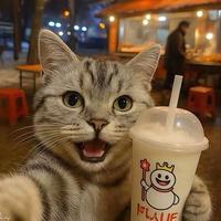 子路路路路路头像