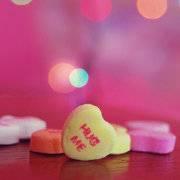 小小狮子的个人资料头像