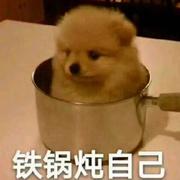 用户4928679268763的个人资料头像