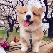 capricorn的个人资料头像