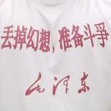 稍息得西红柿头像