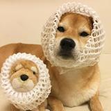 杀鸡给猴看头像