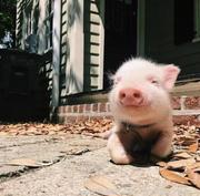 愿望说出来就不灵了的个人资料头像