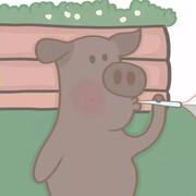 用户6313709771755的个人资料头像