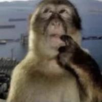 蹦迪小王子1头像