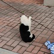 MiyaNari的个人资料头像