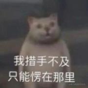 搞钱要紧的个人资料头像