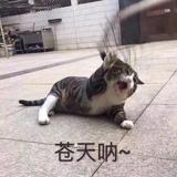 摩羯座头像