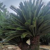 用户8557793758336头像