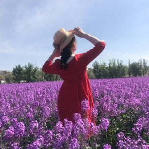 雪依xy头像