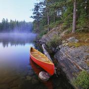 BeastSen的个人资料头像