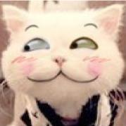 爱瞌睡的小懒喵CC的个人资料头像