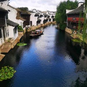 TY明心见性头像