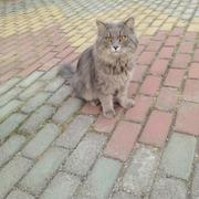 好好学习捏的个人资料头像