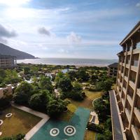 暖叔廿载泊头像