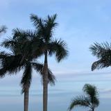 夏天4238011521736头像