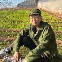 极品生活老黄头像