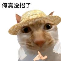 东风无力百花残残头像