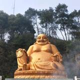 福明杨商贸头像