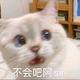 用户5422048972553头像