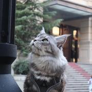 西安木乃伊的个人资料头像