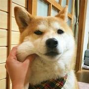 sunshine_Boy的个人资料头像