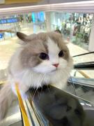 小小小小宇的个人资料头像