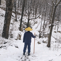 秦岭终南山居头像