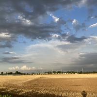 进入图透了头像