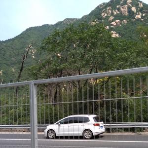 股市金哥头像