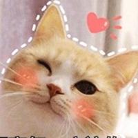 该用户是小可爱哦头像