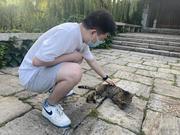 灵活的熊猫贼的个人资料头像