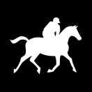 张少玄的个人资料头像