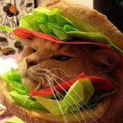 QuainK的个人资料头像