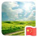 A1an的个人资料头像